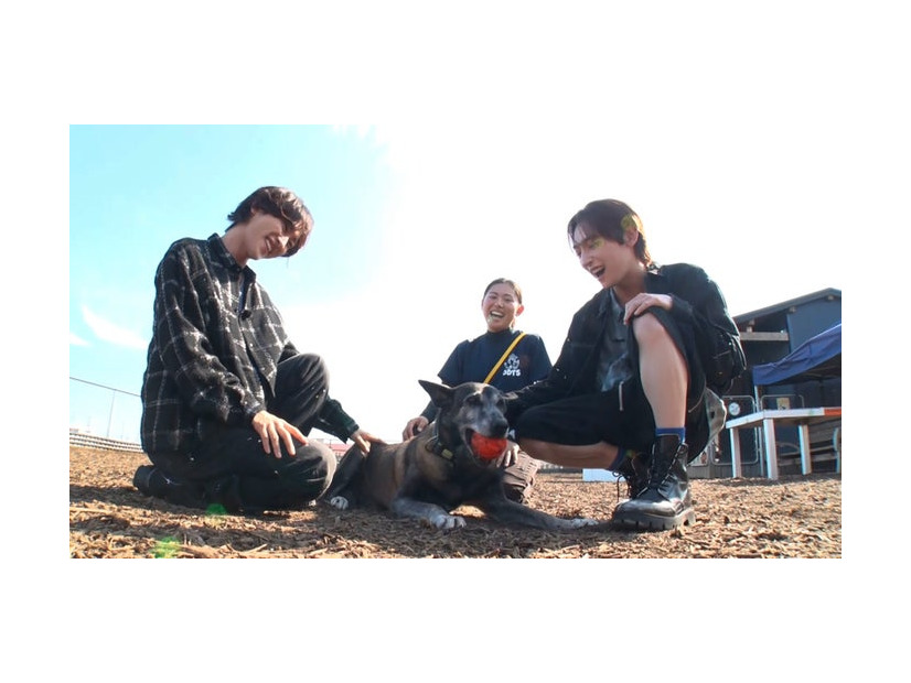 ROIROM「笑える！泣ける！動物スクープ100連発」（C）TBS