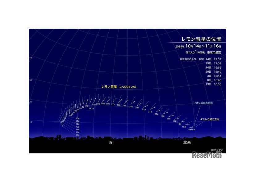 レモン彗星の位置（2025年10月14日～11月16日）東京の星空