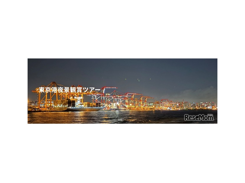 東京港夜景観賞ツアーでの夜景