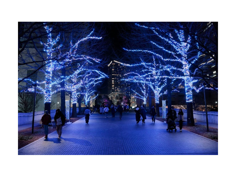 ヨコハマミライト（提供写真）