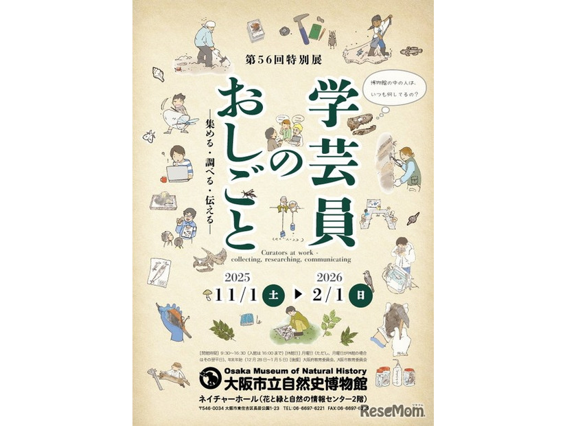 チラシビジュアル