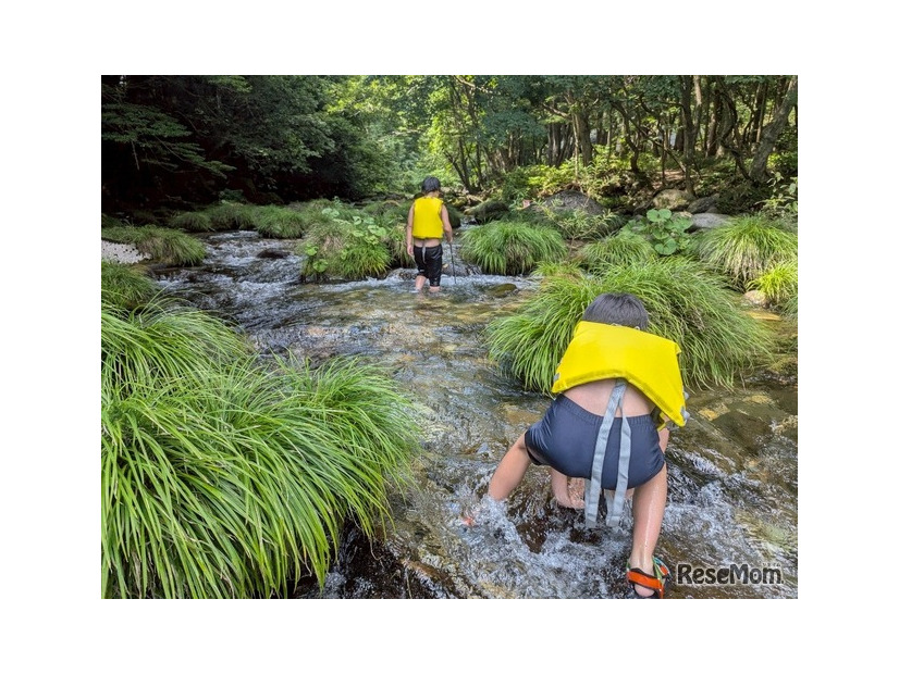 川遊びのようす