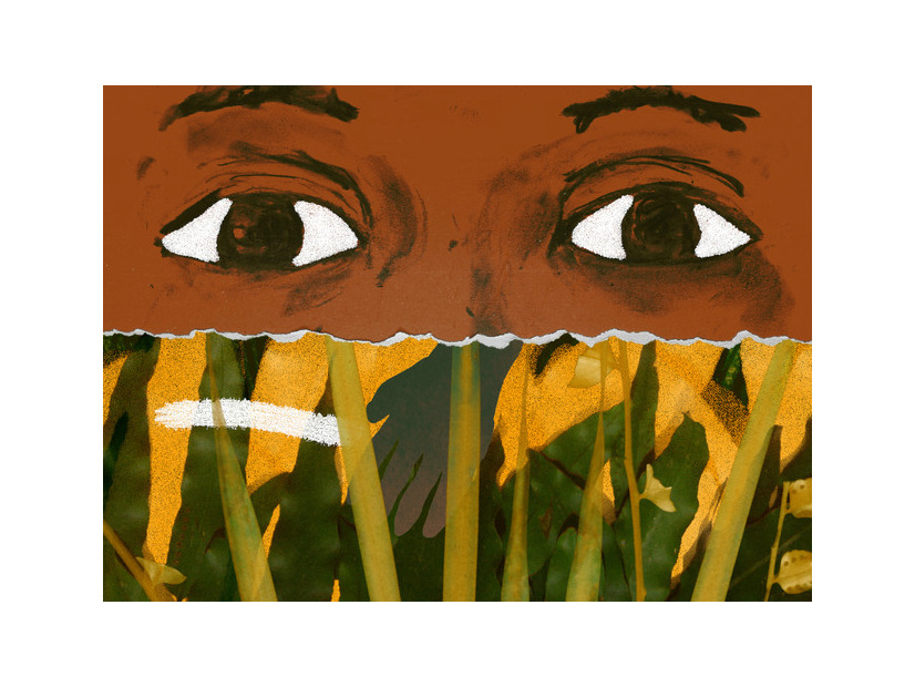 『オリビアと雲』©️Cine Chani / Historias de Bibi / Guasábara Cine