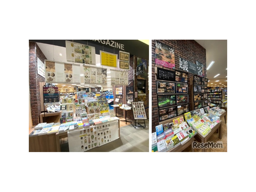 未来屋書店 北戸田店 2025年12月5日リニューアルオープン