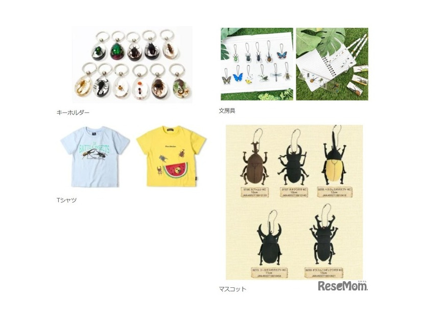 みらいや昆虫館inみらいやの森