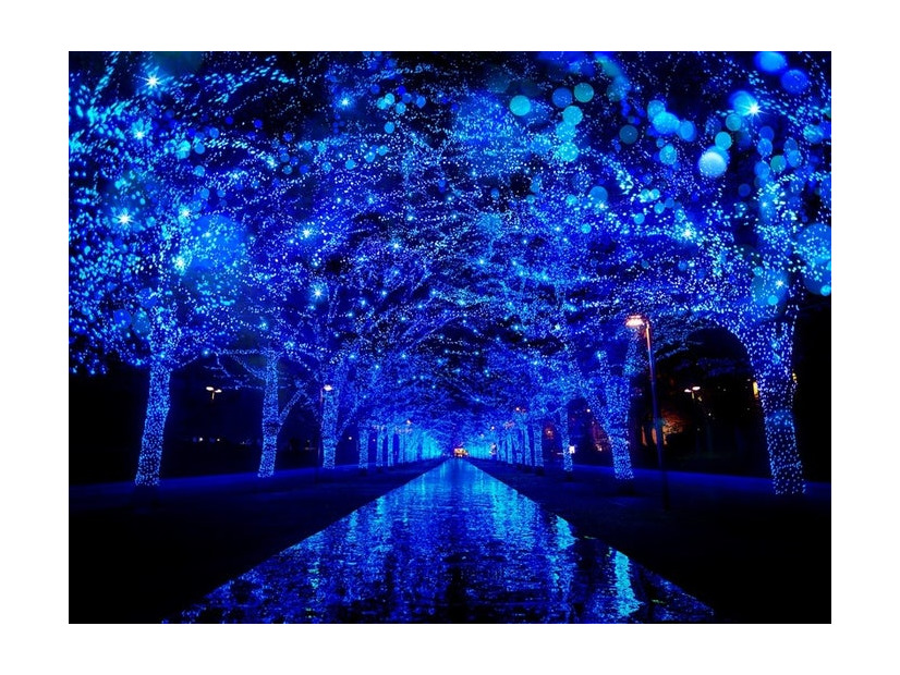 青の洞窟 SHIBUYA／提供画像