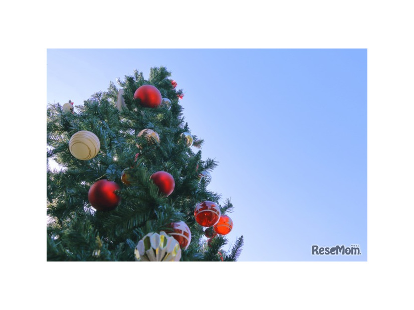 ※画像はイメージです