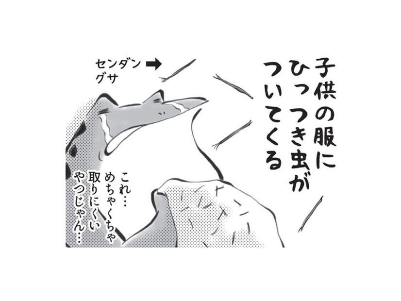 ひっつき虫を服につけて、どんぐりをポケットに入れる…秋がやってきたと感じます【カエル母さん #６】