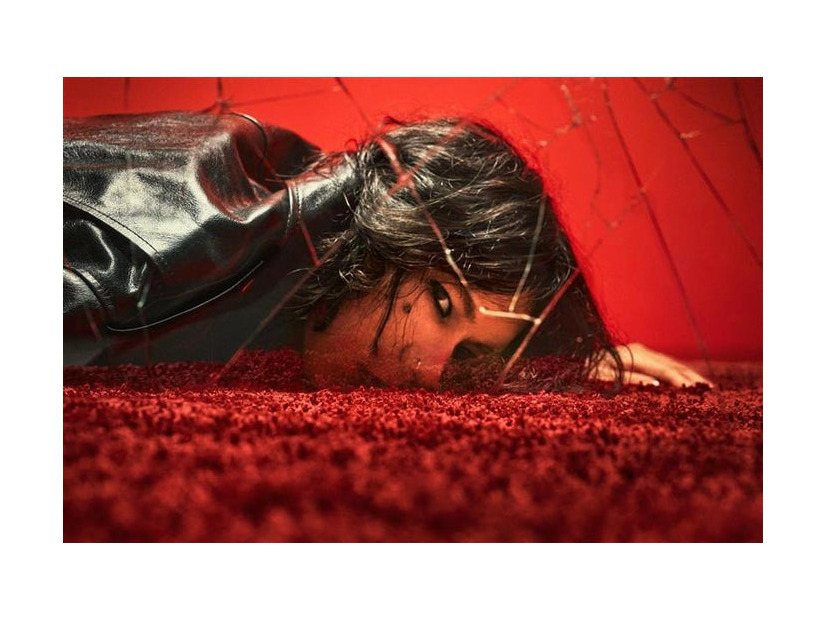 米津玄師（提供写真）