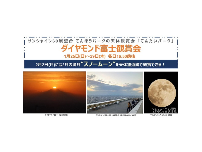 ダイヤモンド富士観賞会　2026年1月25日～29日