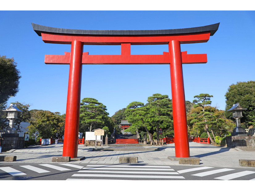 2026開運初詣！勝負運＆チャレンジ運を上げてくれる「午」に縁のある神社７選【関東編】