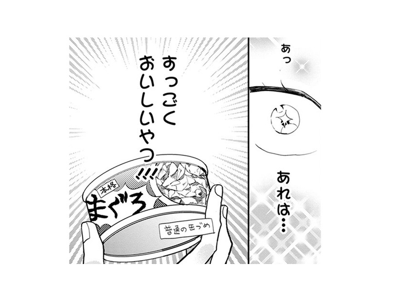【猫視点】家を出て行こうと思っていたけど、人間が取り出したのは… もう少しここに居る～！【同居人はひざ、時々、頭のうえ。 #10】