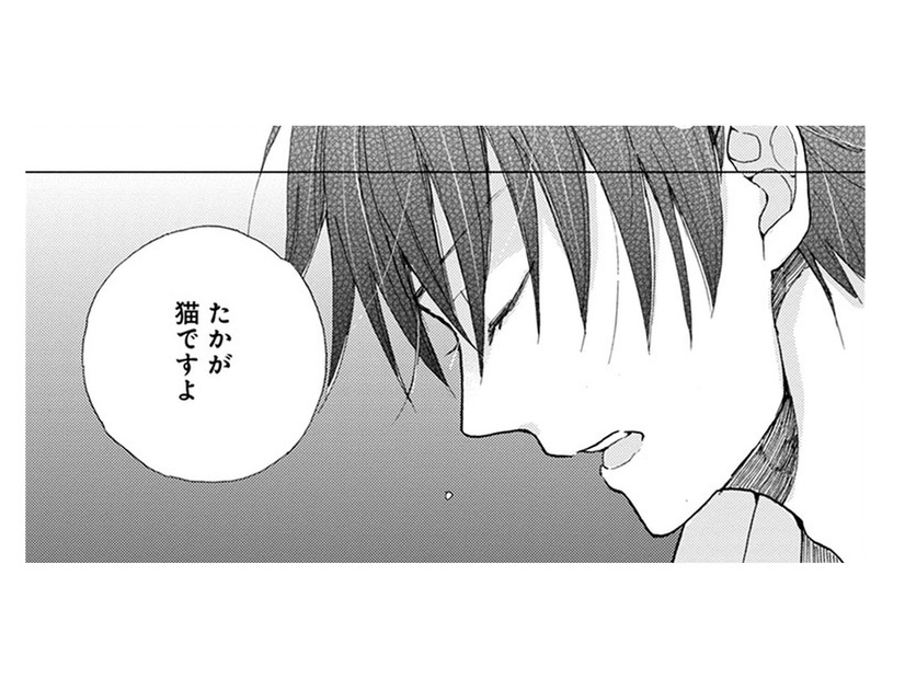 猫に癒されるとは？ 理解できなくて、つい言ってしまった言葉。すると彼の表情が豹変して…【同居人はひざ、時々、頭のうえ。 #26】