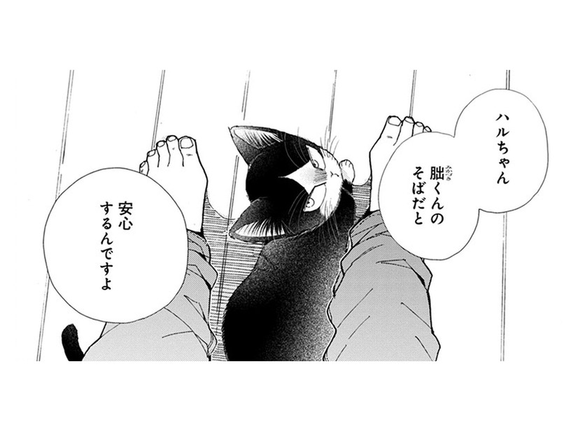 猫は僕のそばだと安心する？ そう言われても実感がわかない… オモチャを片付けようとしたら!?【同居人はひざ、時々、頭のうえ。 #27】
