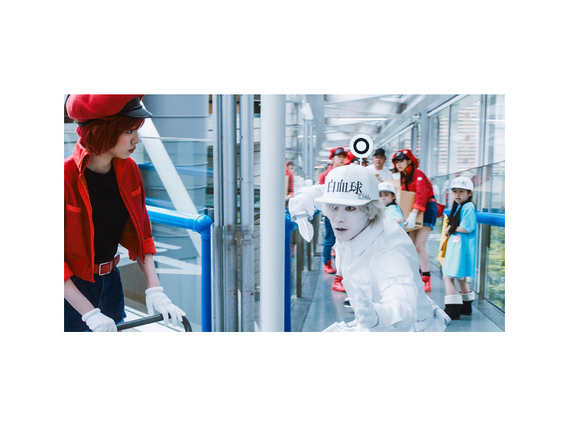 『はたらく細胞』©清水茜／講談社 ©原田重光・初嘉屋一生・清水茜／講談社 ©2024 映画「はたらく細胞」製作委員会