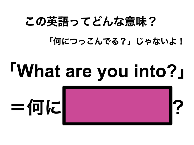 この英語ってどんな意味？「What are you into?」