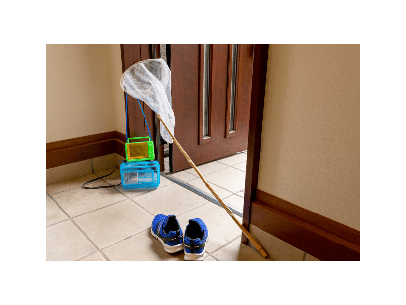 孫を溺愛する祖父母　夏に孫の初めて虫取り⇒祖父の”丁寧な教え”に…「絵本みたい」