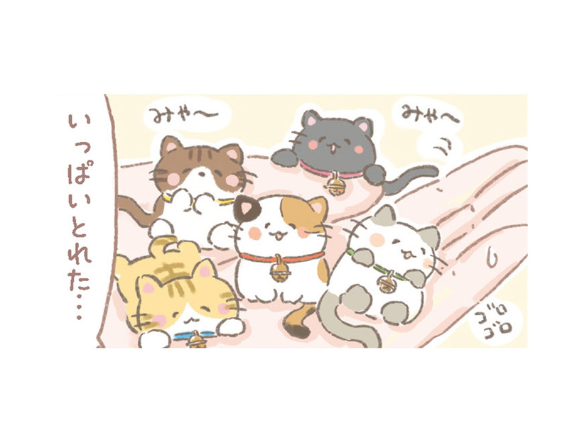 UFOキャッチャーでかわいい猫ちゃんを大量ゲット！しかも生きてる!?【あなたとくらし隊！ちびっ福 #８】