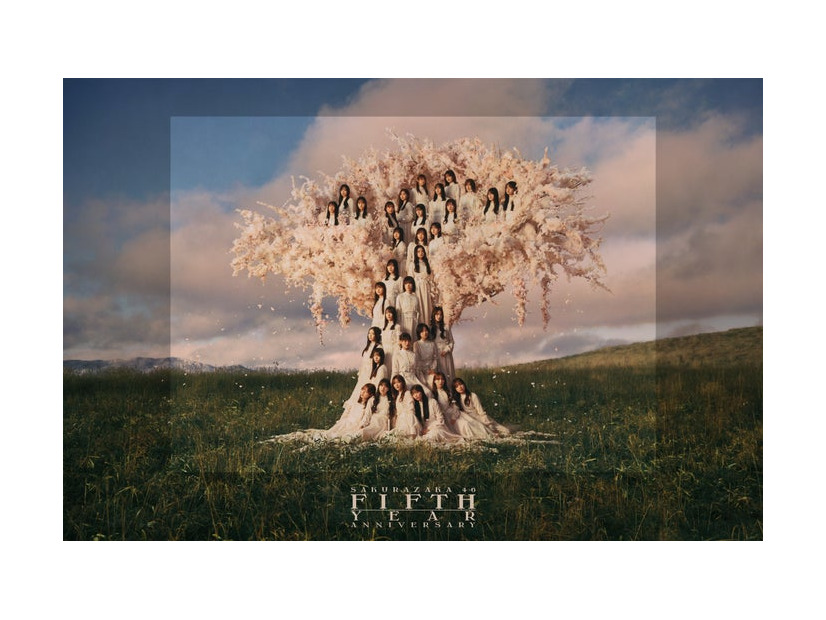 櫻坂46「5th YEAR ANNIVERSARY LIVE」キービジュアル（提供写真）