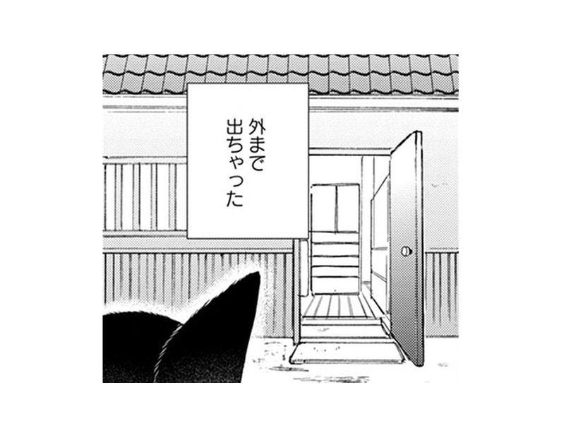 【猫視点】ヤツは消えたけど、今度は苦手な人間が来た！ に、逃げないと!! あれ？ここは外!?【同居人はひざ、時々、頭のうえ。 #43】