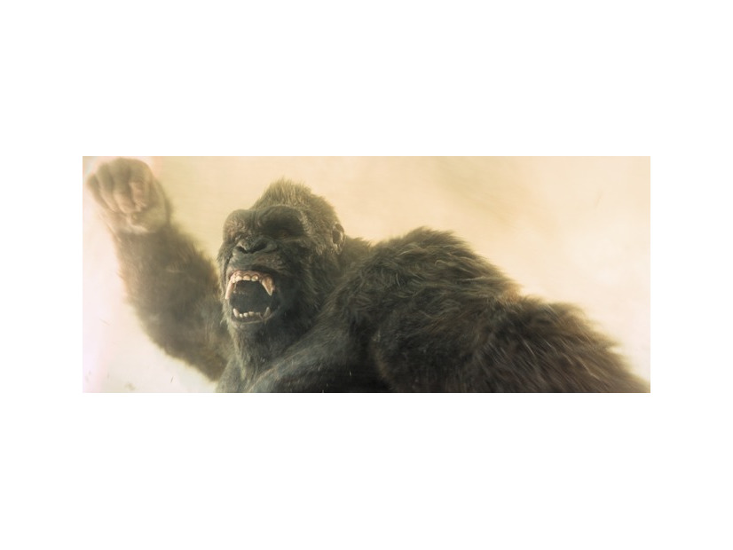 Apple TV「モナーク：レガシー・オブ・モンスターズ」シーズン2画像・映像提供 Apple TV