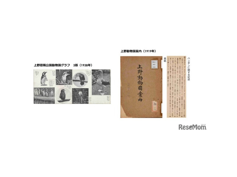 企画展示「TOKYO PENGUIN LIBRARY」東京×ペンギン コーナー