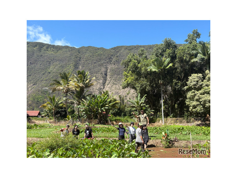 SOSHI Aloha Camp 敷地内