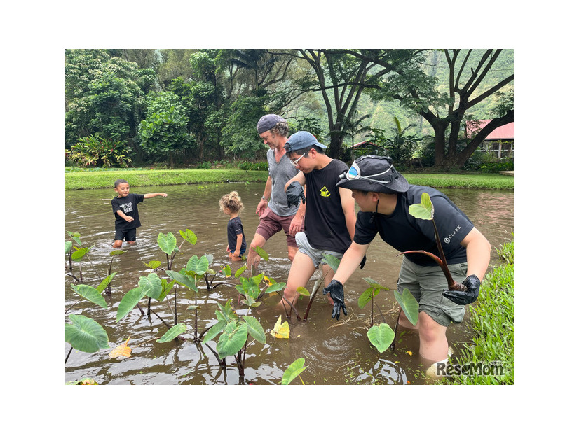 ネイチャー・エクスプローラー