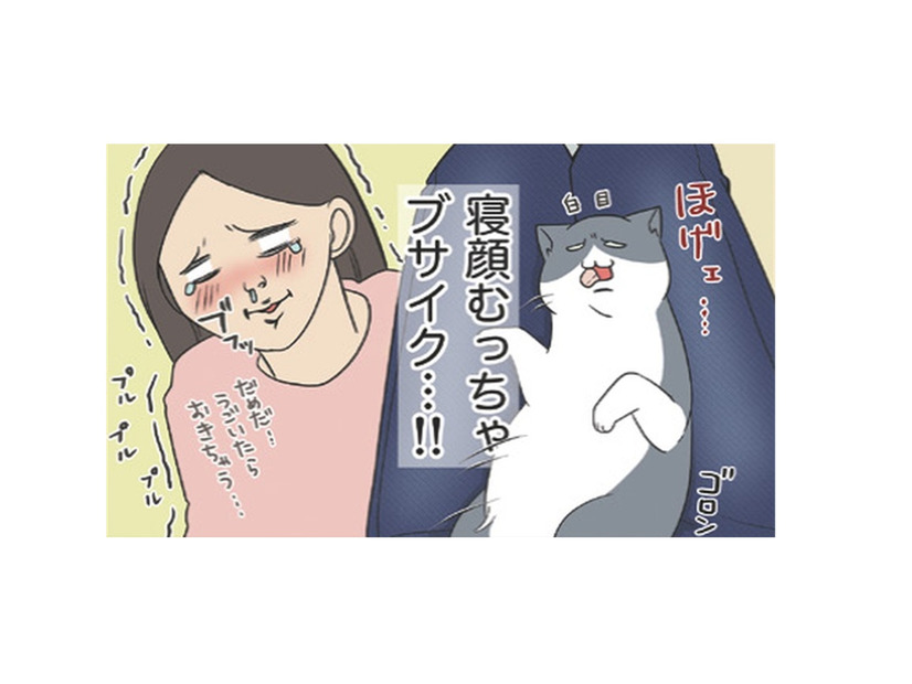 ツンデレだった愛猫が膝に乗ってくれるようになった寝顔むっちゃブサイクでたまらん【おさんぽですし！　おしゃべり犬とイライラ猫の日記 #20】