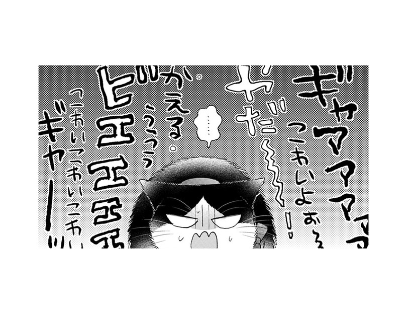 【猫視点】連れて来られたのは色んな子が泣いたり叫んだりしている場所！ ここは一体何なの？【同居人はひざ、時々、頭のうえ。 #69】