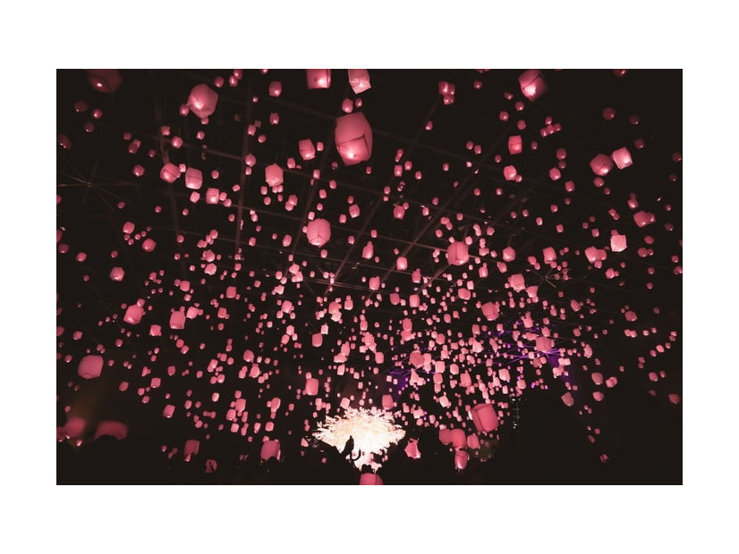 花見灯夜2026／提供画像