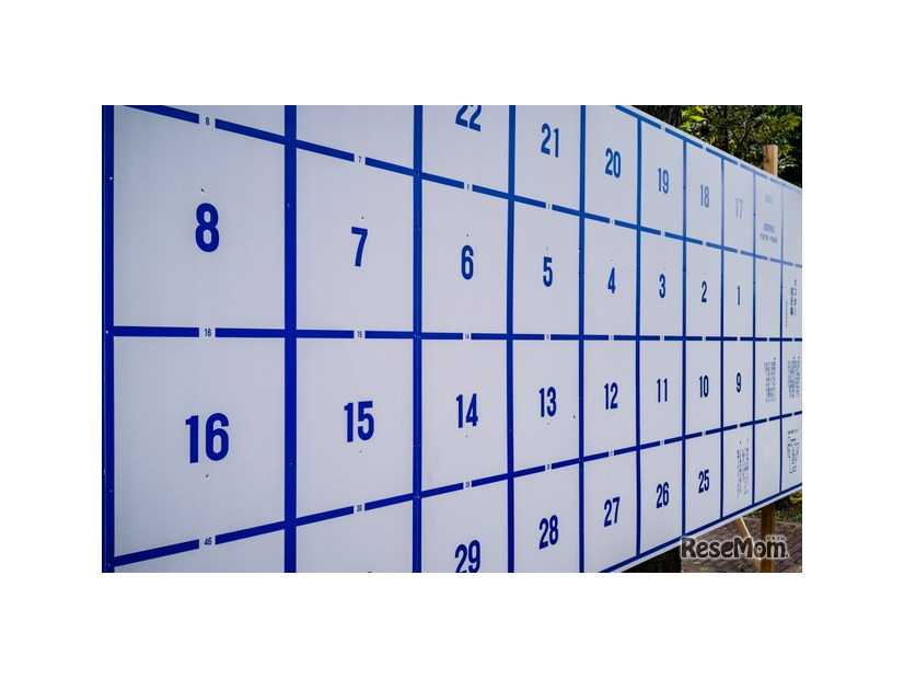 ※画像はイメージです