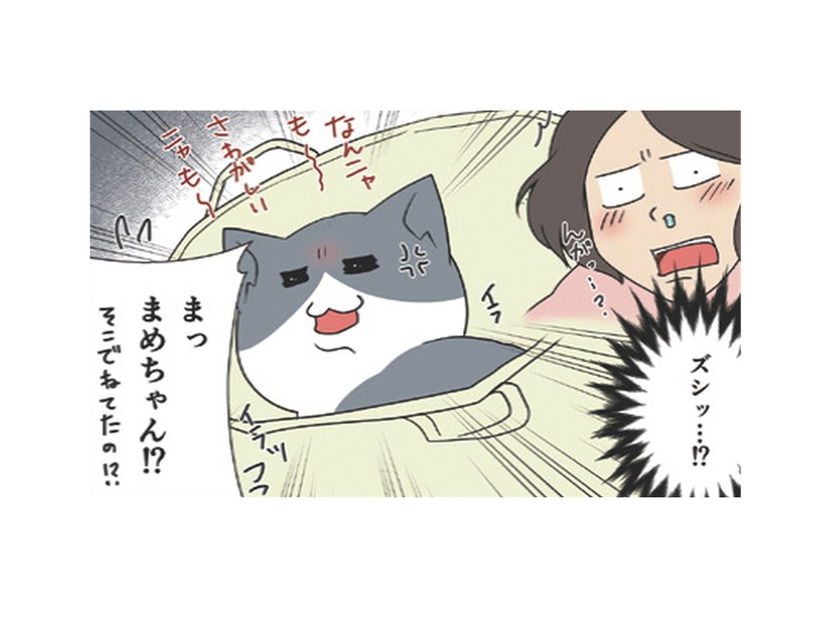 お気に入りの場所から絶対に動きたくない愛猫。漬物石より重たくなるのはなぜ？【おさんぽですし！　おしゃべり犬とイライラ猫の日記 #23】