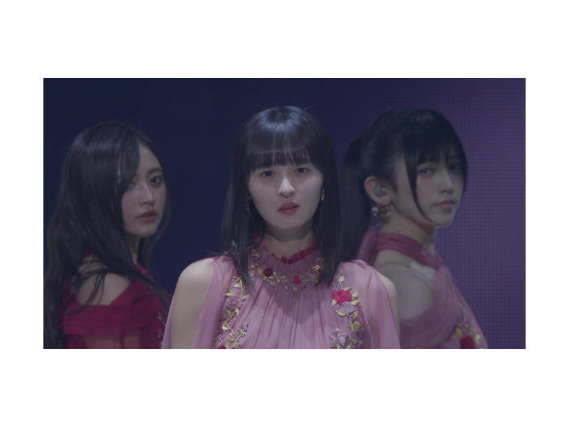 乃木坂46（提供写真）