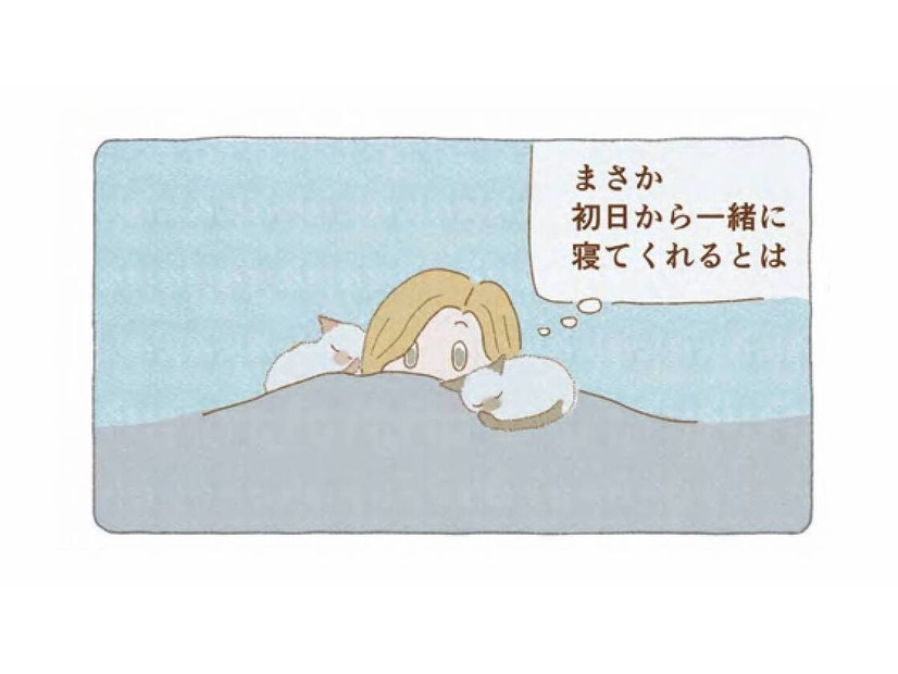 「いてくれるだけでいい」迷い猫たちと一緒に眠った夜から、家族がはじまった【夜が明けるとき猫がそばにいれば #８】