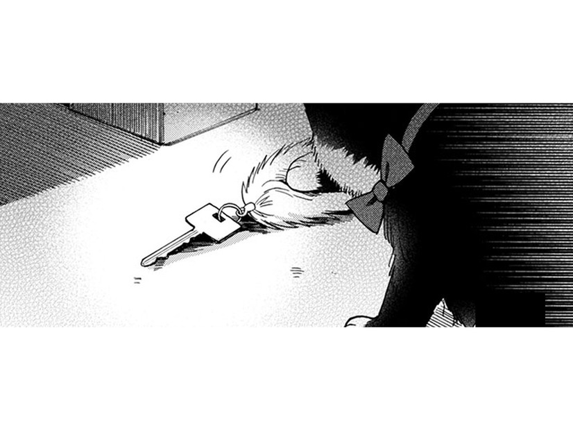 猫が何かを匂ってる… 家の鍵!? さっき帰るとき忘れていった？ 連絡先がわからない…【同居人はひざ、時々、頭のうえ。 #78】