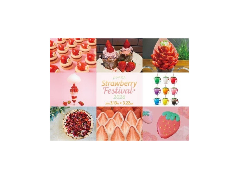 ⼤阪ストロベリーフェスティバル販売商品の⼀例／提供画像