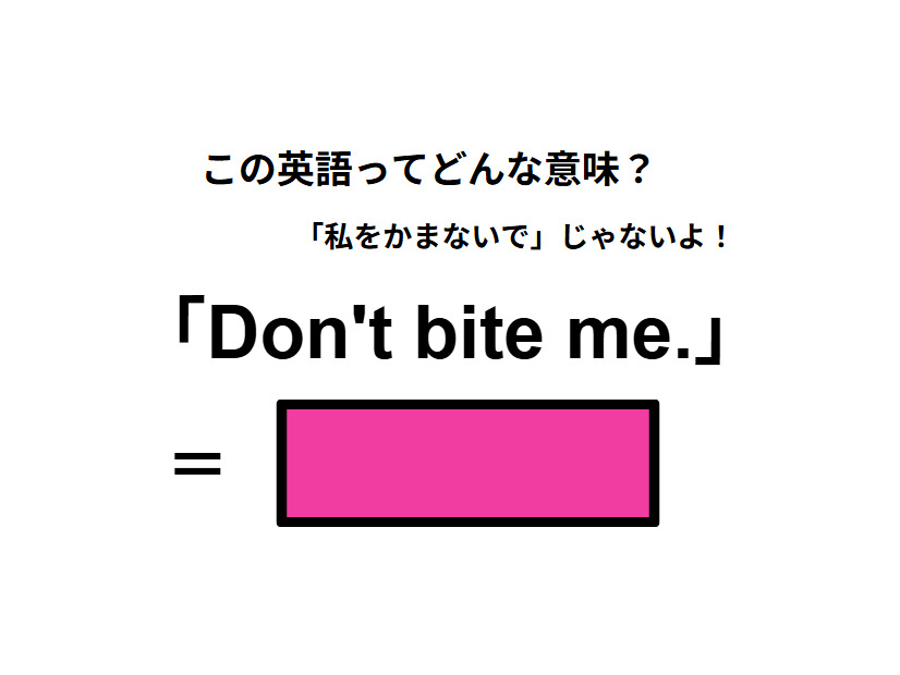 この英語ってどんな意味？「Don’t bite me.」