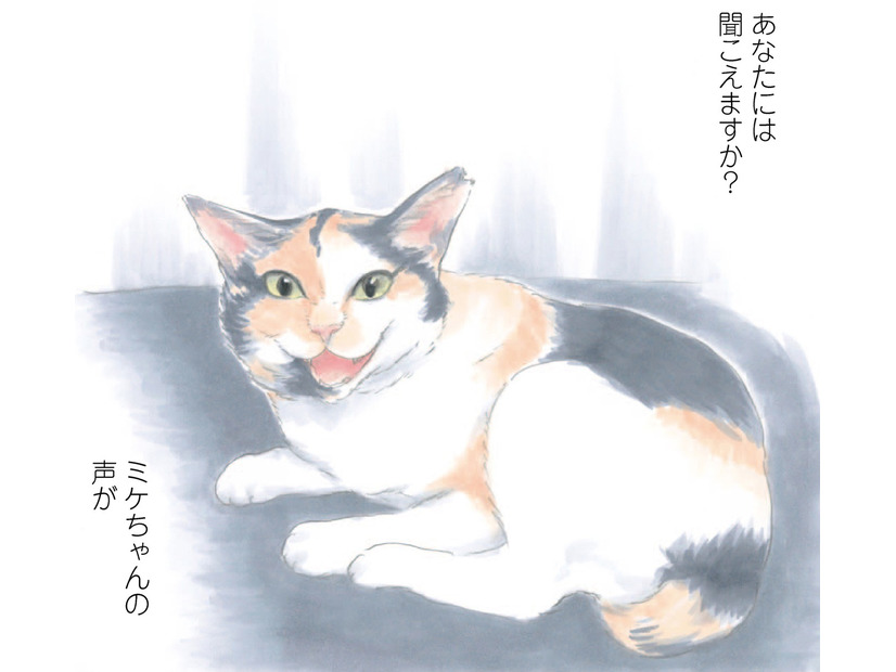 「もしもミケちゃんがおしゃべりできたなら…」優しい気持ちになれる、猫と飼い主の心温まる物語【ミケちゃんとやすらぎさん #１】