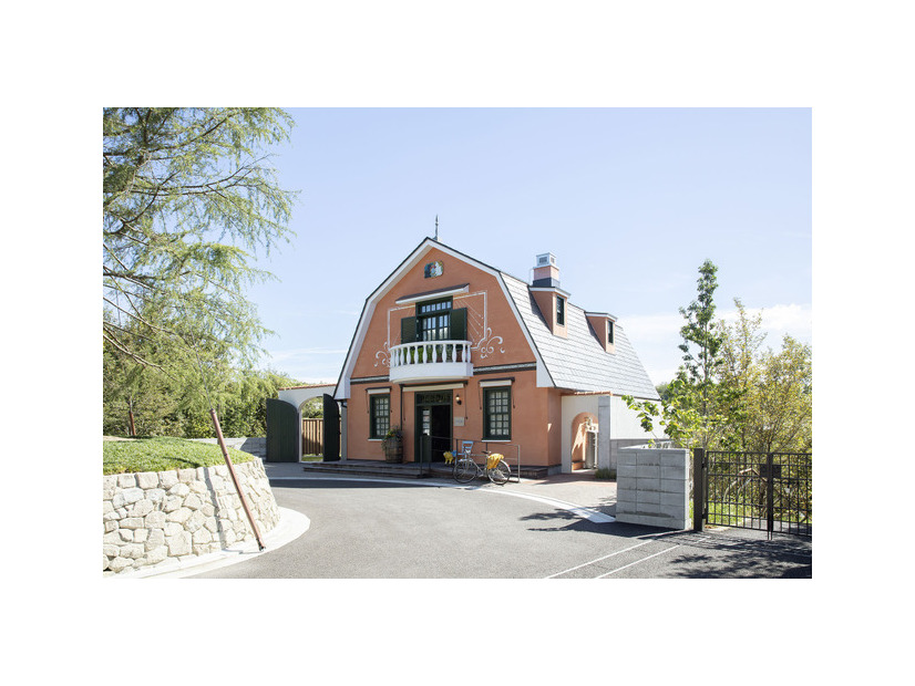 青春の丘「地球屋」© Studio Ghibli