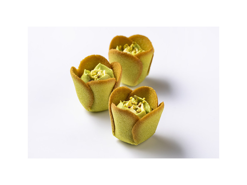 チューリップローズ　コラボ限定〈ピスタチオバター〉