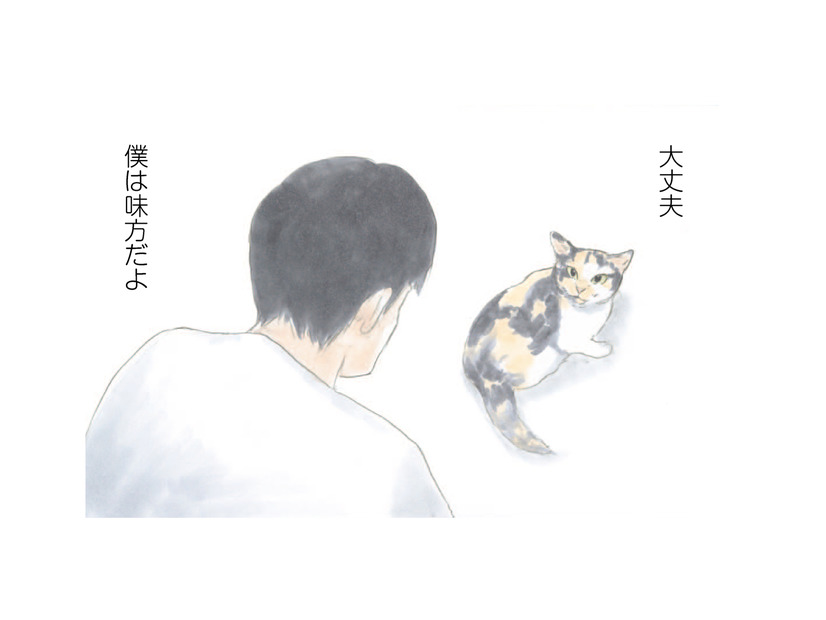 「本当は私はここにいたい…」と言わんばかりに見つめる猫。ミケちゃんとの出会いを振り返ると？【ミケちゃんとやすらぎさん #６】