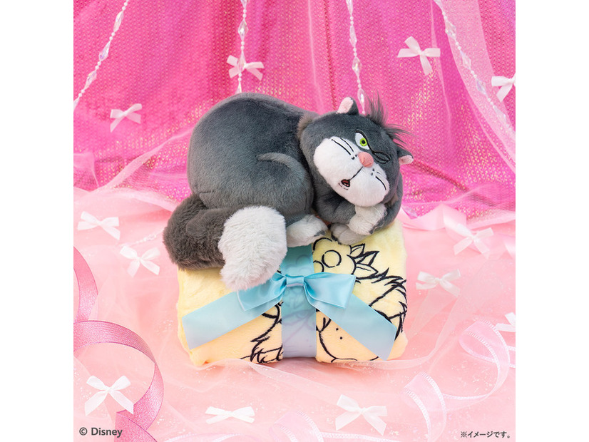 LAST賞 ぬいぐるみ付きブランケット©Disney