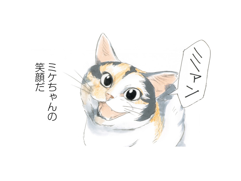 「おはよう」笑顔でお出迎えしてくれる看板猫のミケちゃん。今日も穏やかな１日が始まる【続 ミケちゃんとやすらぎさん #１】