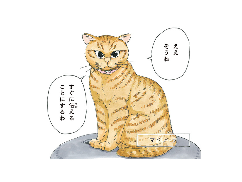 老犬の柴犬に嫁いできたという不思議な猫。気品溢れる「マドレーヌ夫人」とは？【かのこちゃんとマドレーヌ夫人 #１】