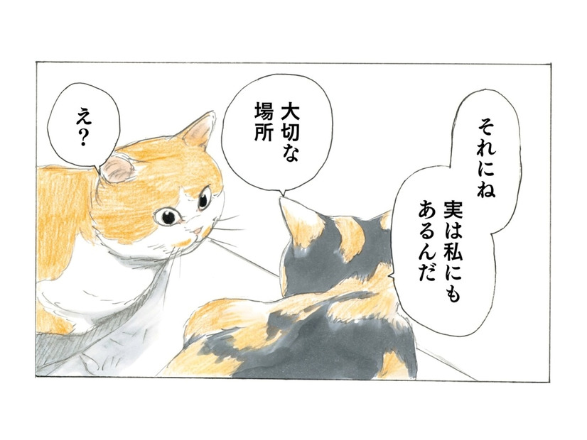 「もう寒い季節は終わったよ」という知らせが…咲き誇る桜を見て２匹の猫が感じたことは？【続 ミケちゃんとやすらぎさん #５】