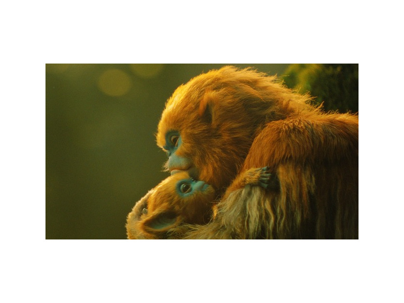 『OCHI！-オチ-』© 2024 KURKAMART LLC AND IPR.VC FUND II KY. ALL RIGHTS RESERVED.