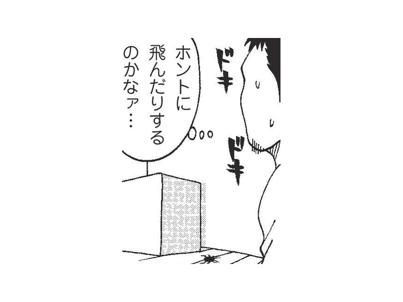 寒い北海道ではほとんど見かけない「あの虫」。上京して初めて遭遇したときの意外な第一印象は？【北のダンナと西のヨメ #５】