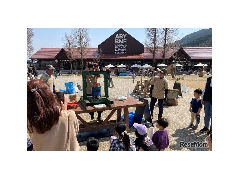 森の手仕事「椿油しぼり」