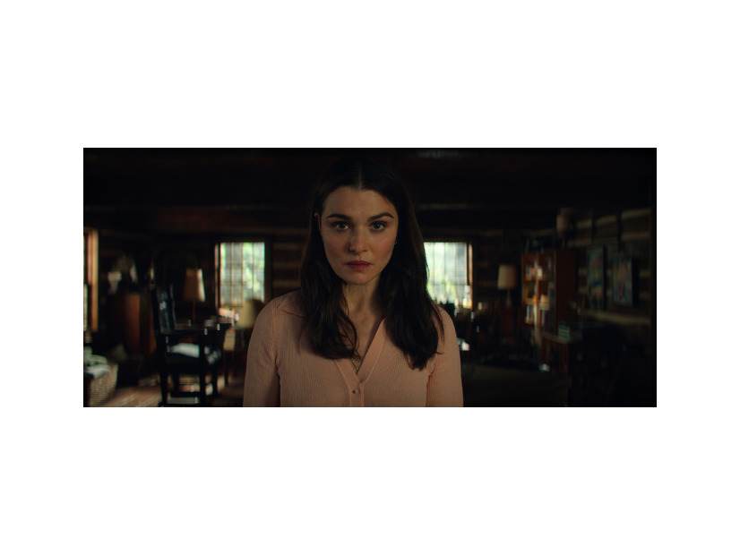 Netflixシリーズ「ウラジミール」3月5日独占配信